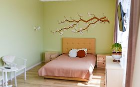 Green Apartments Bandery 35